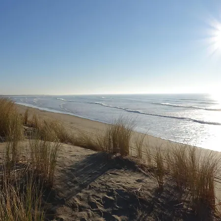 Casa vacanze Les Cariatides 2 By Interhome Saint-Pierre-d'Oleron